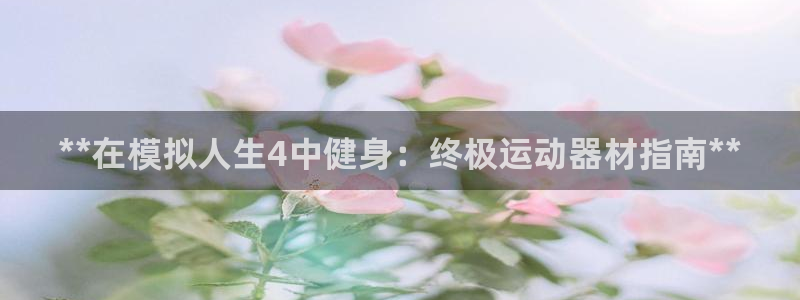 意昂体育3平台APP：**在模拟人生4中健身：终极运