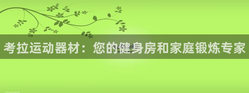 意昂3娱乐40996：考拉运动器材：您的健身房和家庭