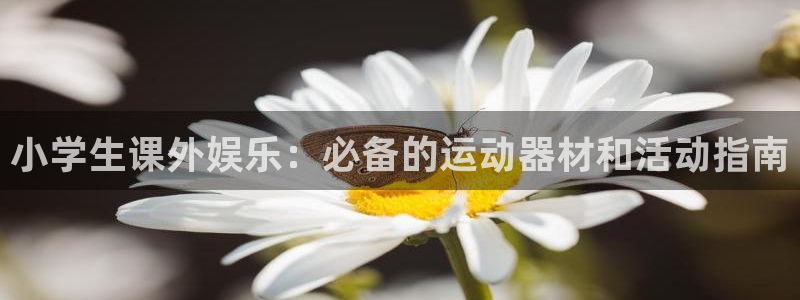 意昂3娱乐代理怎么样