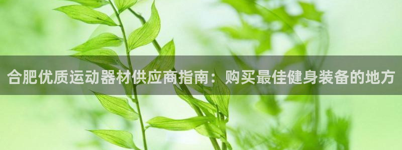 意昂体育3招商电话号码是多少：合肥优质运动器材供应商