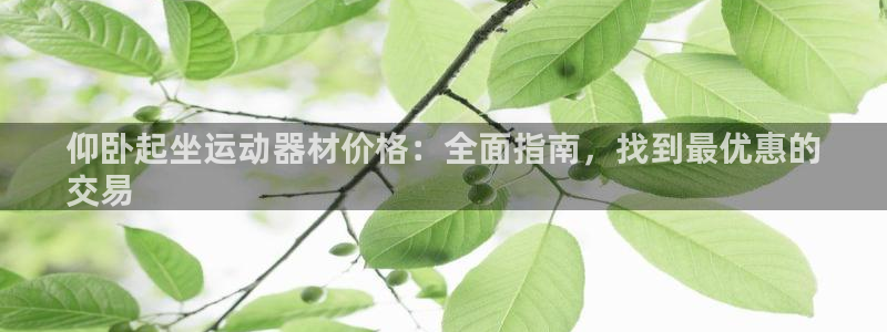 意昂3集团官网网址：仰卧起坐运动器材价格：全面指南，找到最优