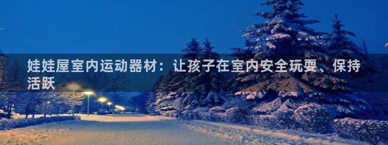 注册意昂3：娃娃屋室内运动器材：让孩子在室内安全玩耍、保持
