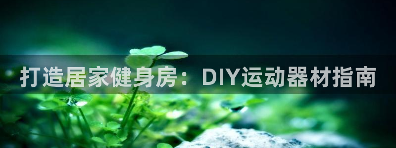 意昂体育3招商电话：打造居家健身房：DIY运动器材指