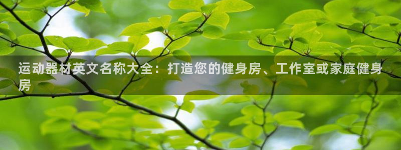 意昂体育3注册：运动器材英文名称大全：打造您的健身房