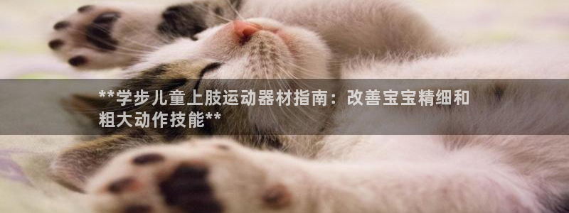 意昂体育3:**学步儿童上肢运动器材指南:改善宝宝精细和
粗