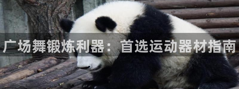 意昂3娱乐下载:广场舞锻炼利器:首选运动器材指南