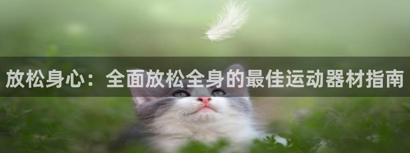 意昂3娱乐40996:放松身心:全面放松全身的最佳运动器材指